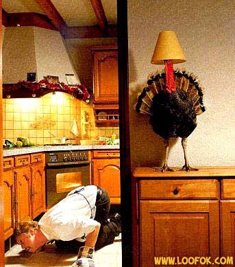 Partie de cache-cache